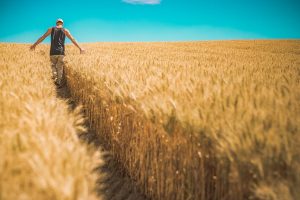 contratti agricoli