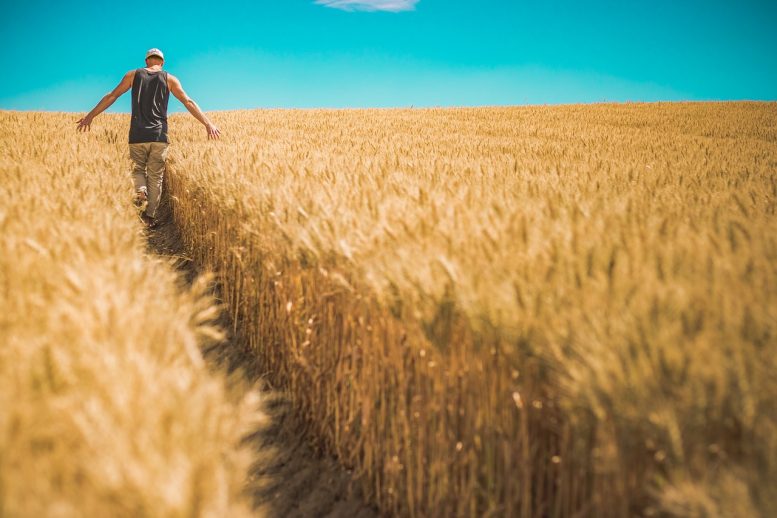 contratti agricoli