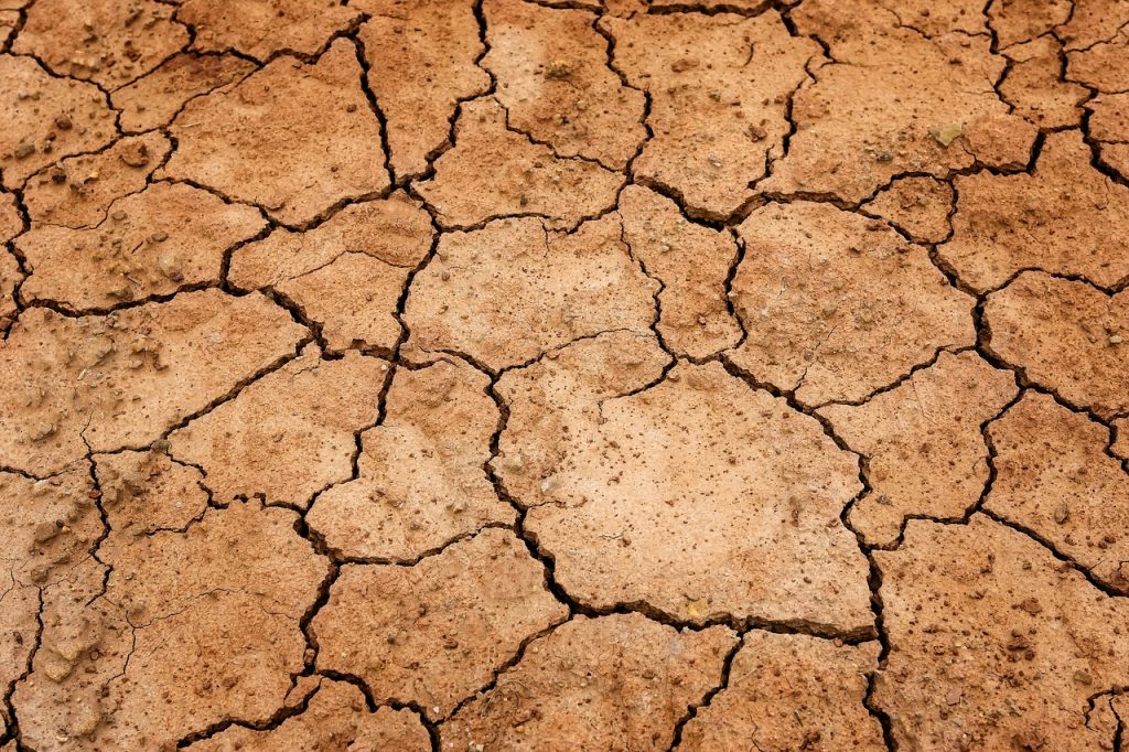 reddito agricolo