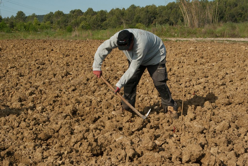 agricoltura e lavoro