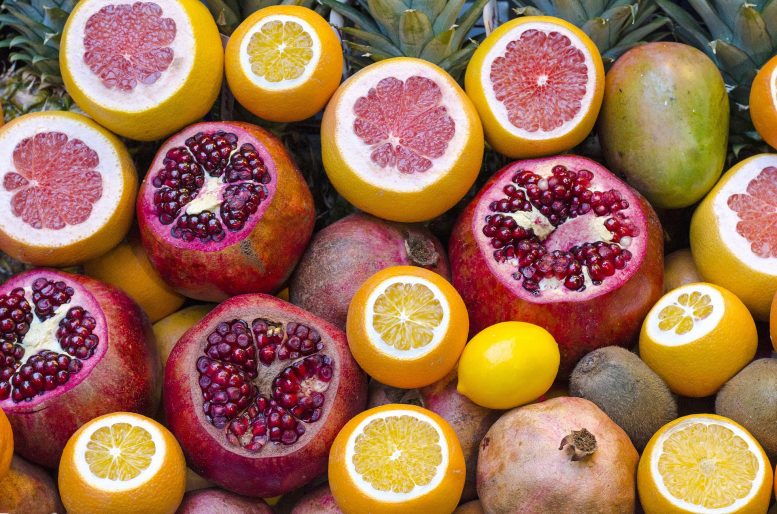 Citrus Tristeza Virus