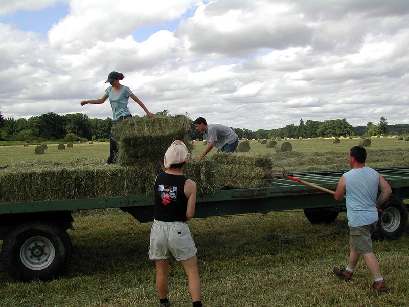 come diventare imprenditore agricolo professionale