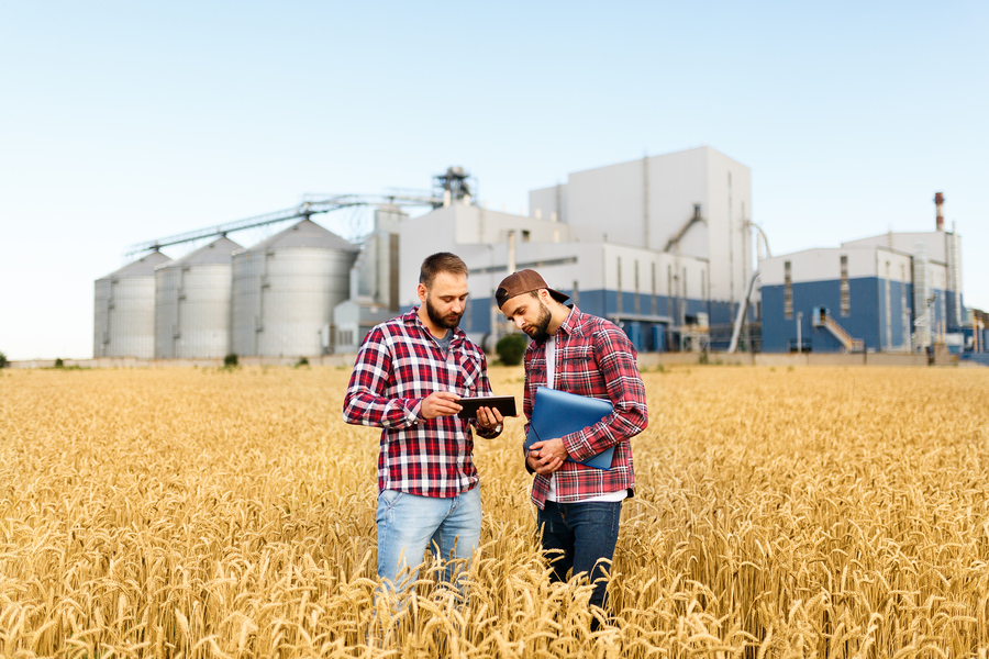 come diventare imprenditore agricolo professionale