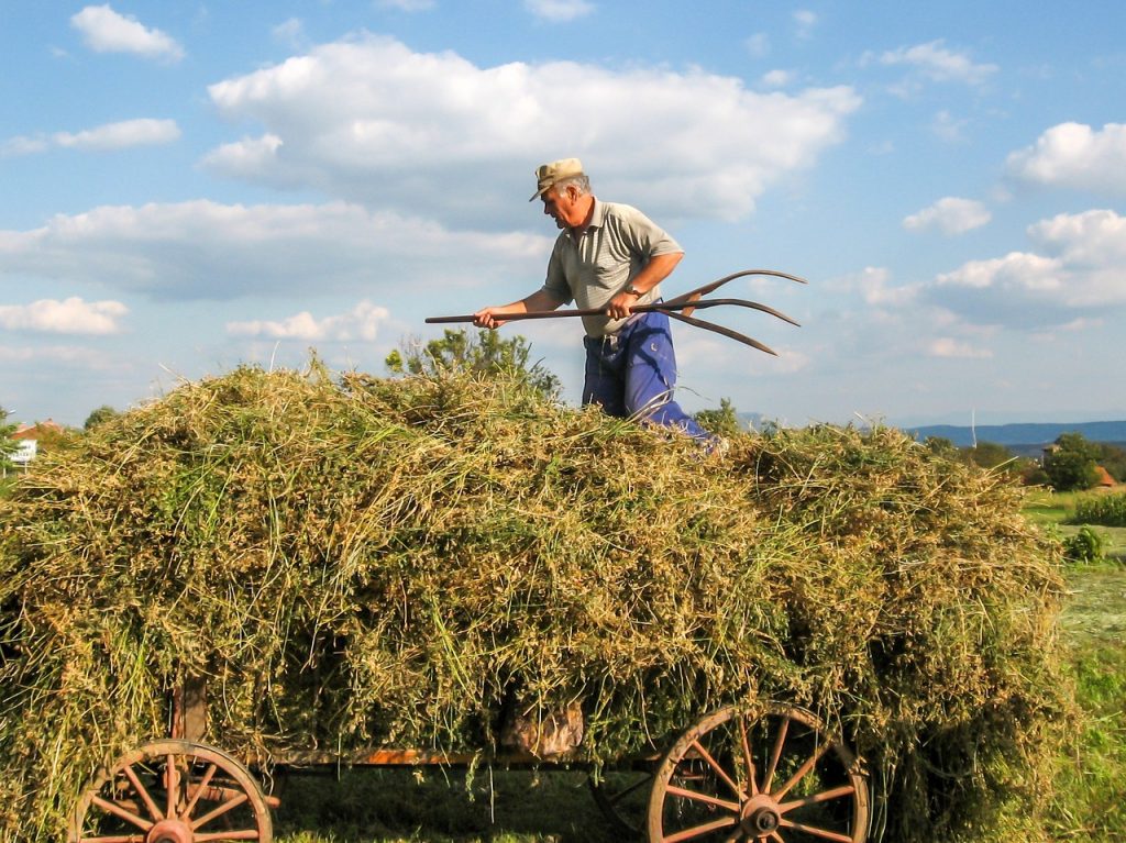 contratti agricoli