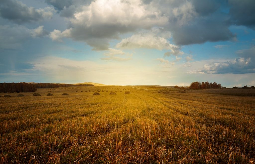 agricoltura e lavoro