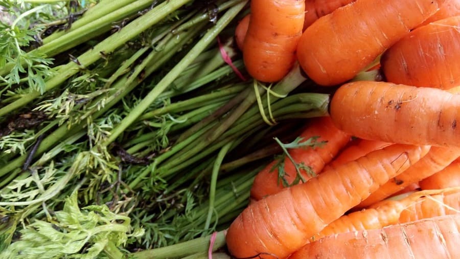 leggi agricoltura biologica