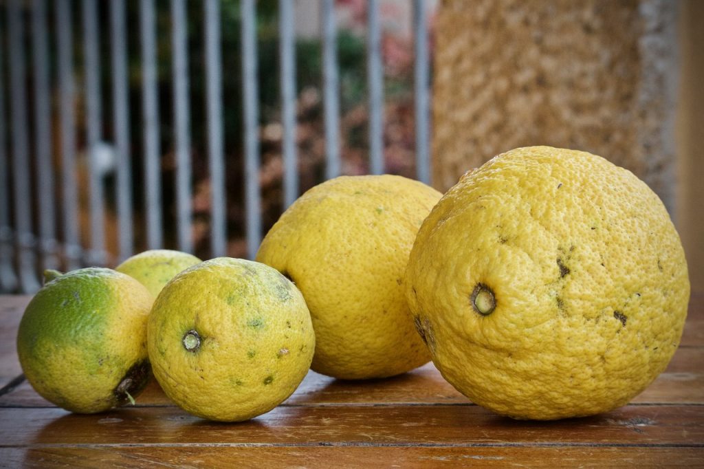 Piticchia del limone