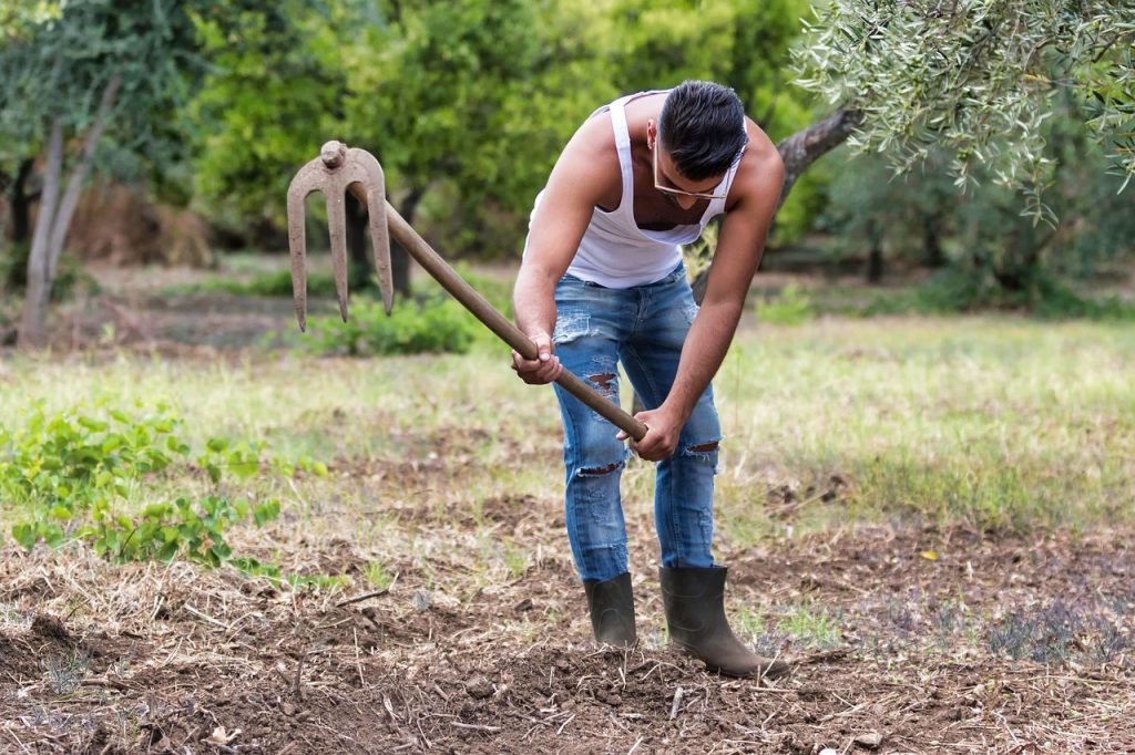 contratti agricoli
