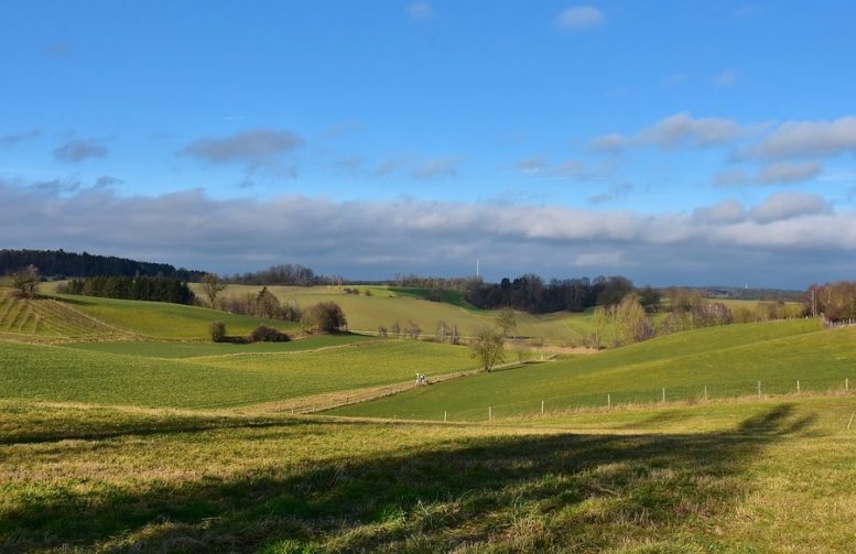valore di un terreno agricolo