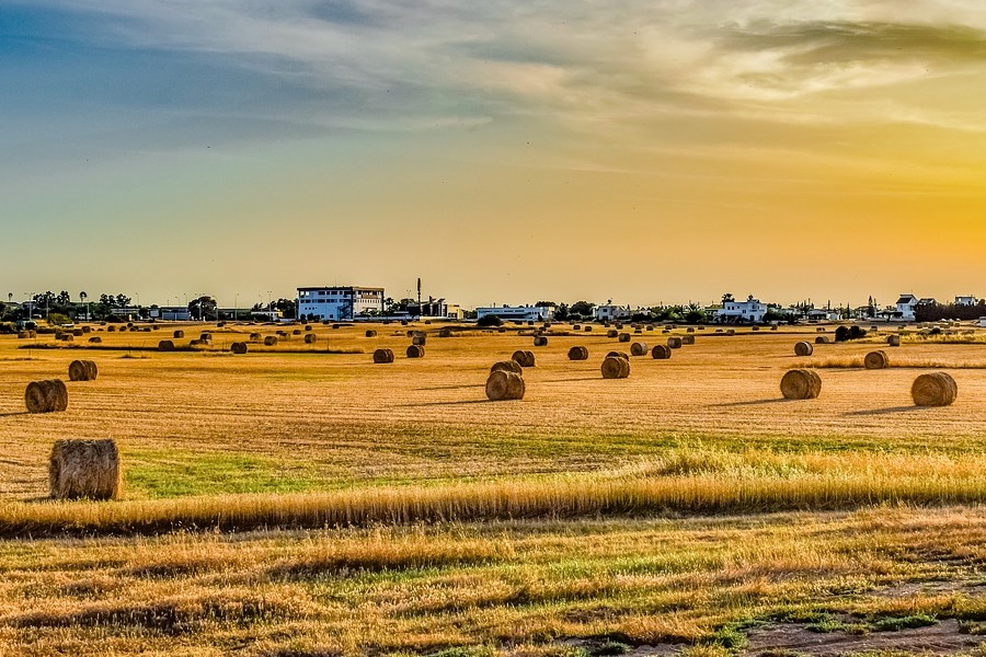 valore di un terreno agricolo