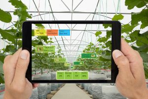innovazioni in agricoltura
