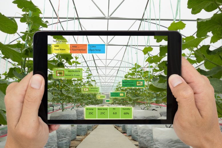 innovazioni in agricoltura