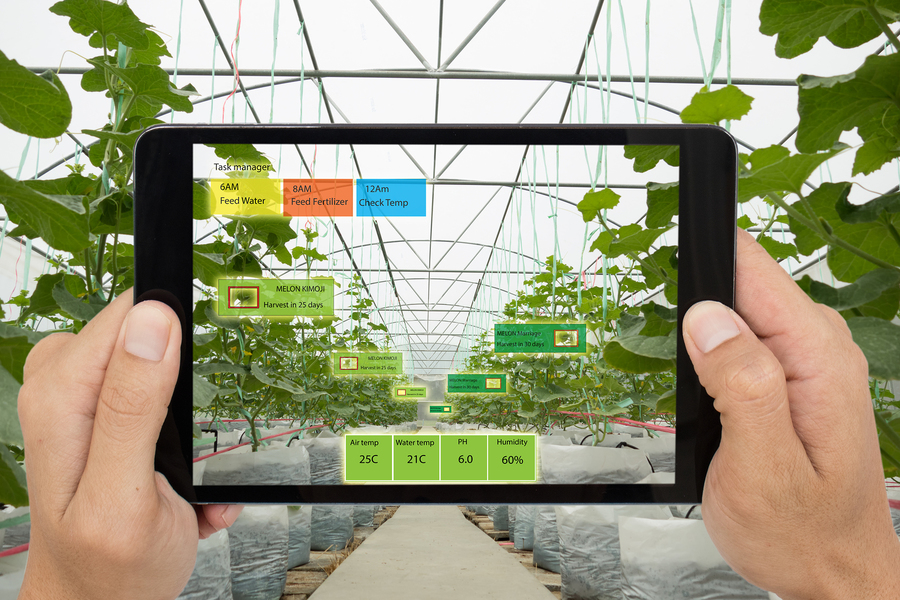 innovazioni in agricoltura