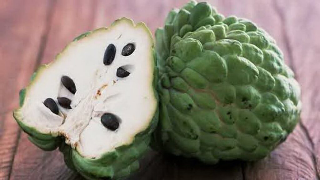annona