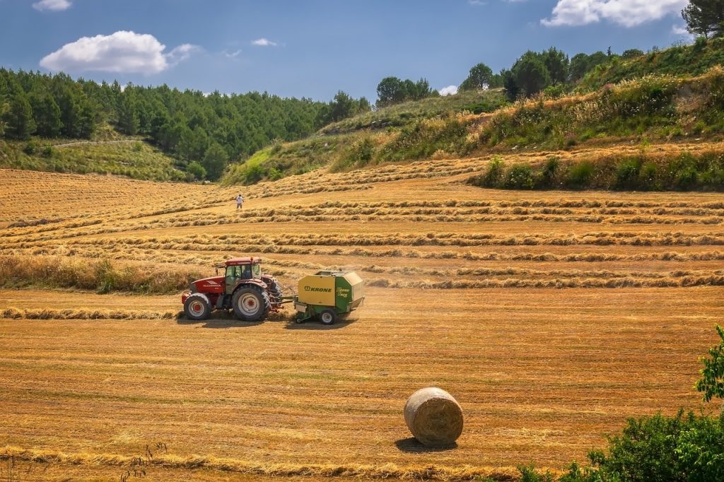 gasolio agricolo