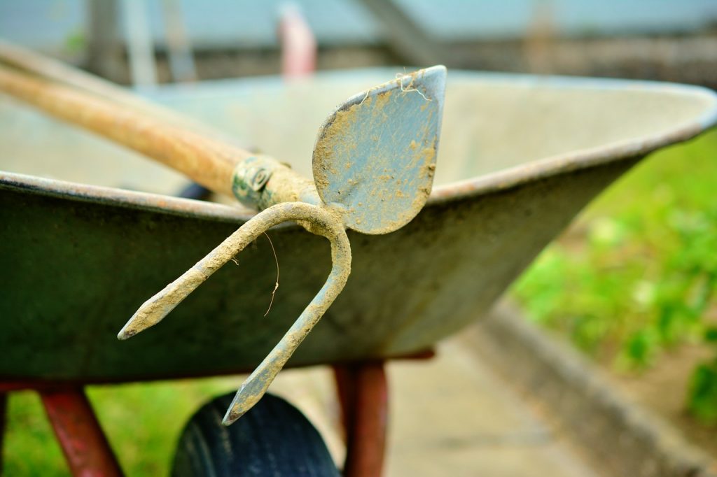 guida dell'orto