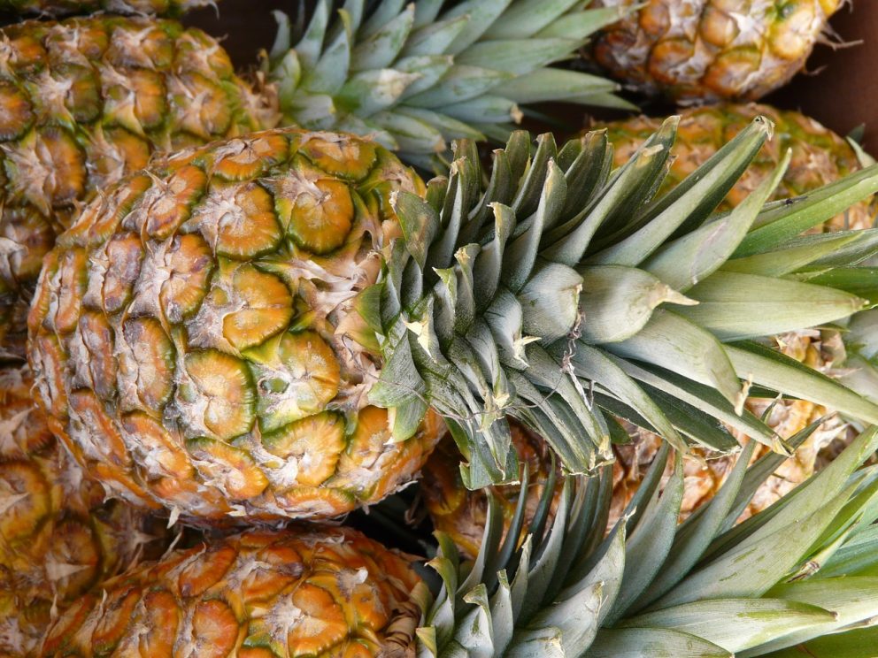 ll frutto più costoso al mondo è il melone scopriamo insieme quale.