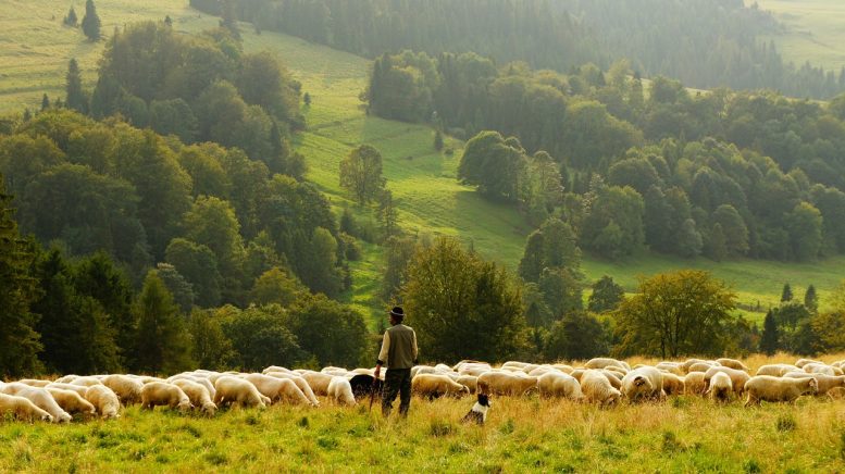 IMU agricola