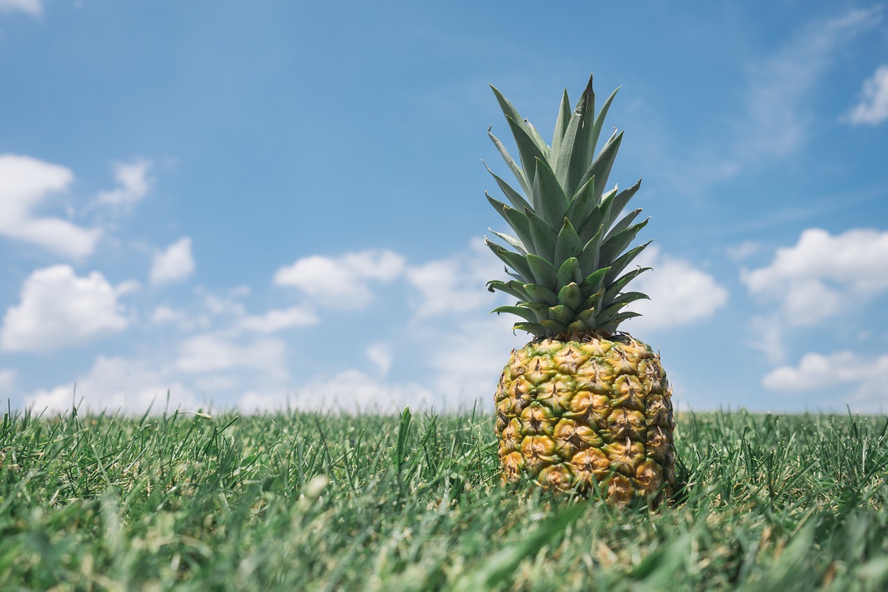 ananas un frutto energetico
