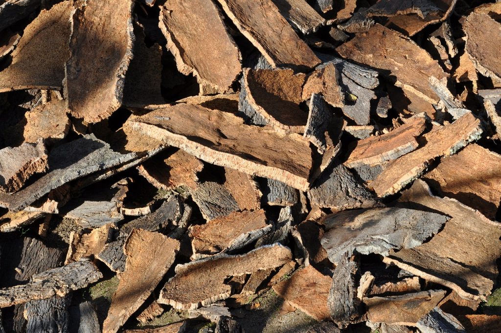 quercia-da-sughero