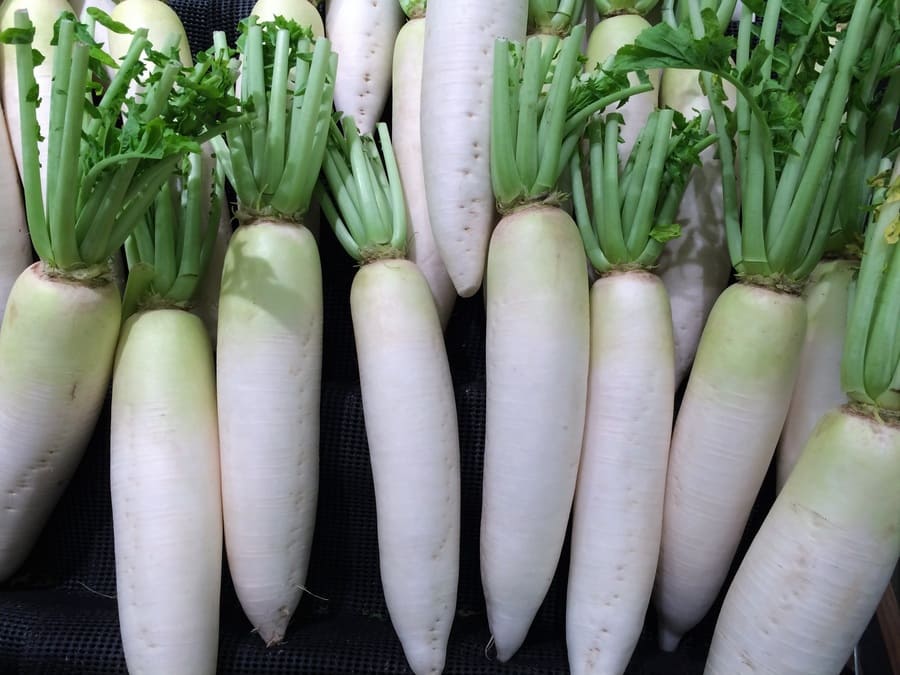 daikon in italia