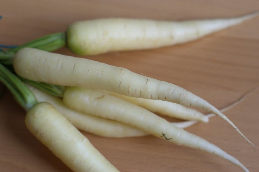 daikon