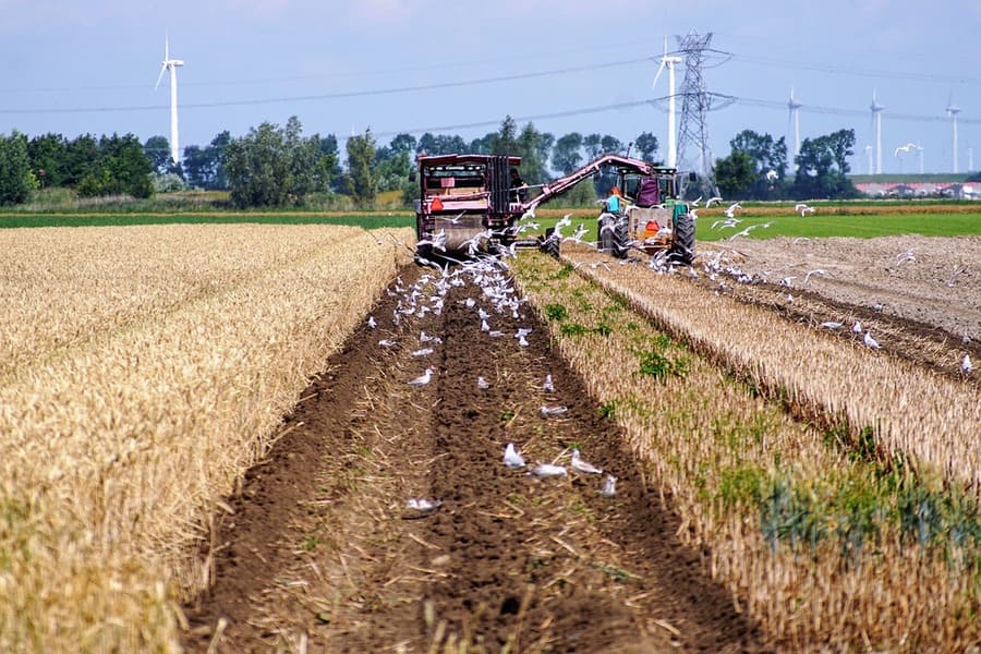 lavorare terreno