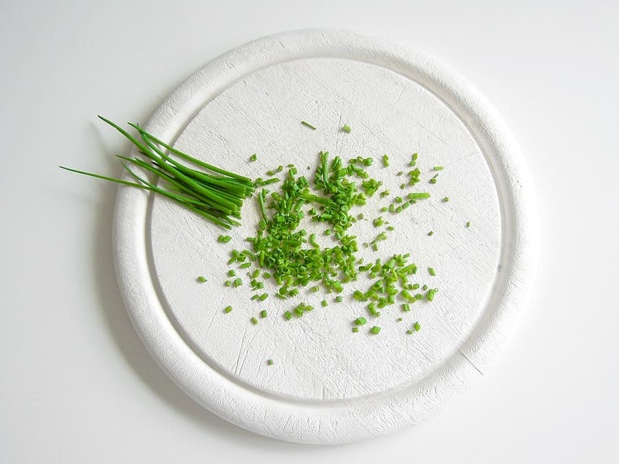 erba cipollina coltivazione