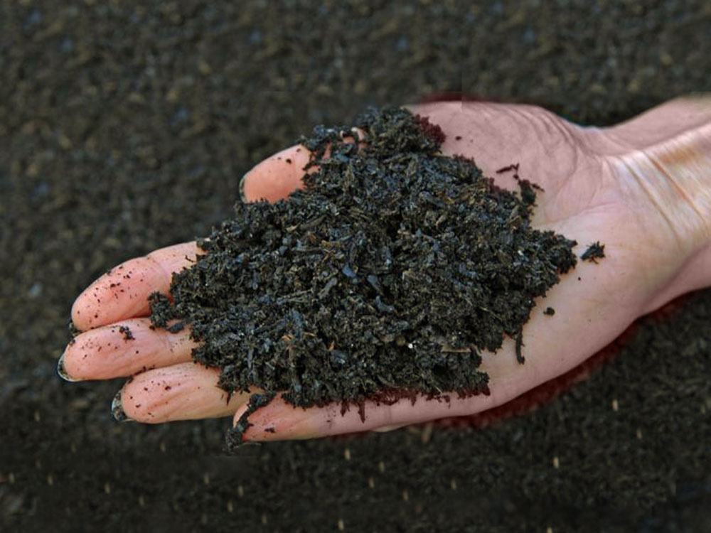 terra nera