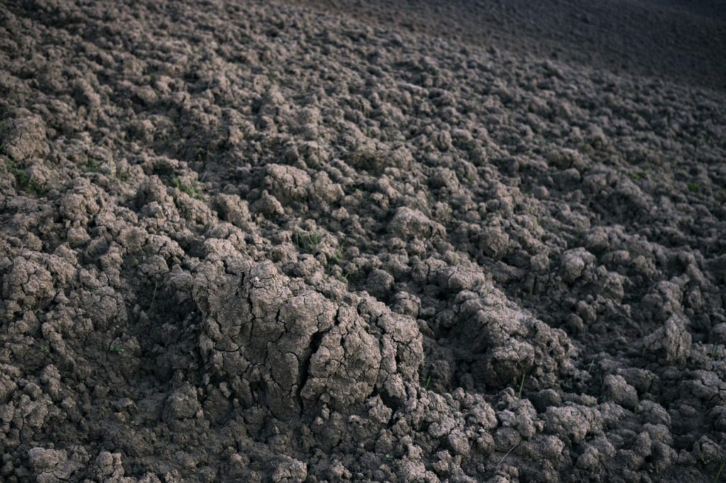 preparare-terreno-orto