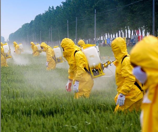 applicazione di agrofarmaci in eccesso per l agricoltura intensiva 
