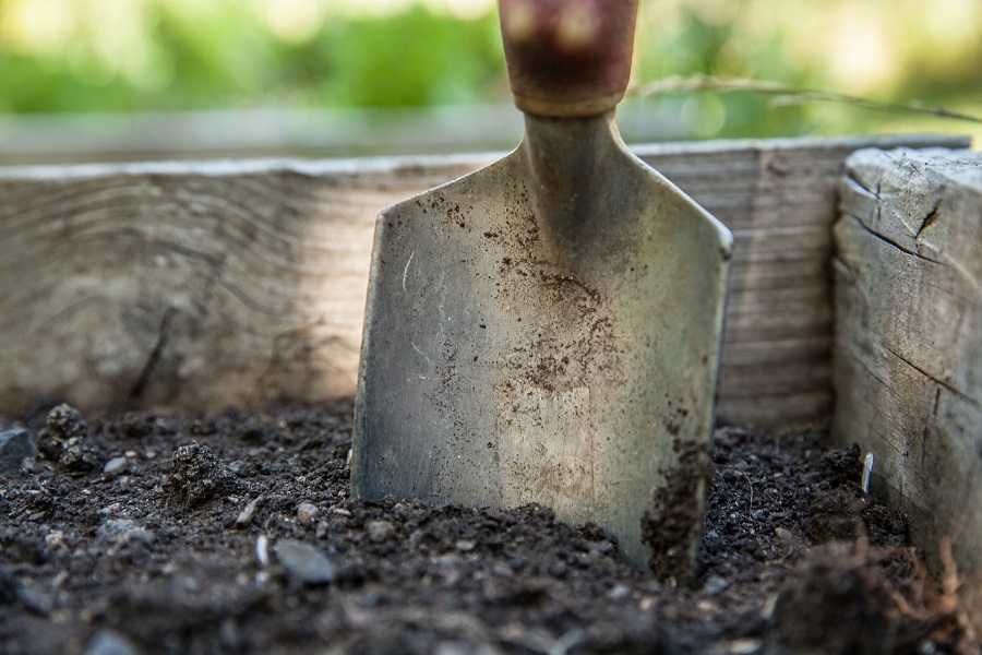 errori di giardinaggio 