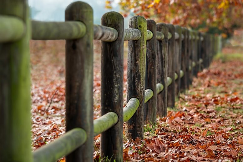 come recintare un terreno agricolo