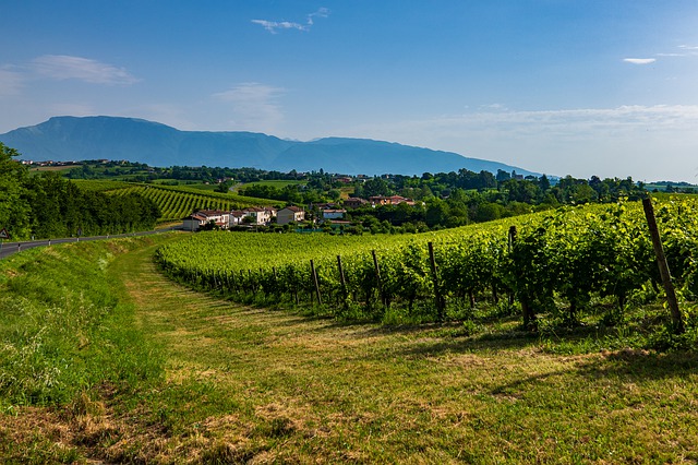 colline-prosecco