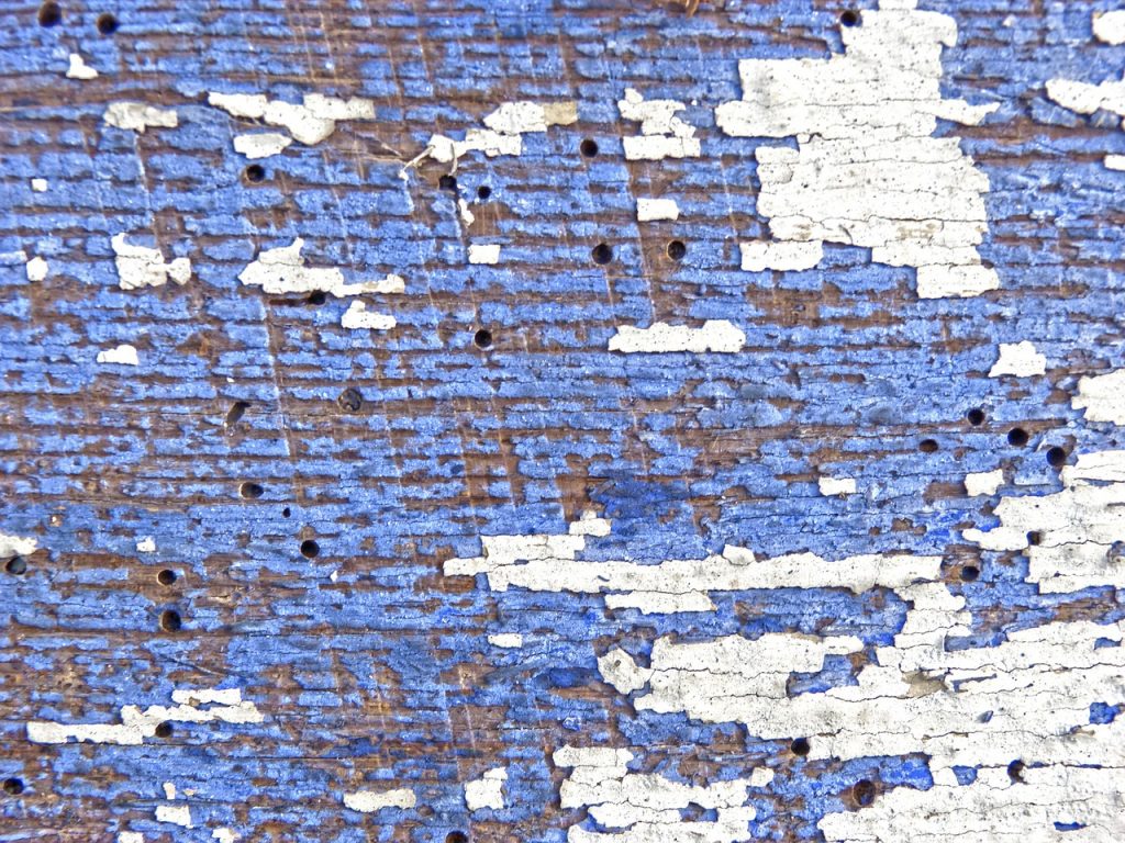 tarlo-quercia