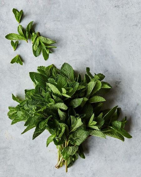 parassiti della menta