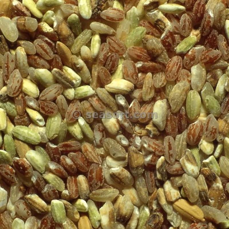 volpatura-del-grano