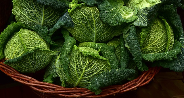 fiere agricole novembre