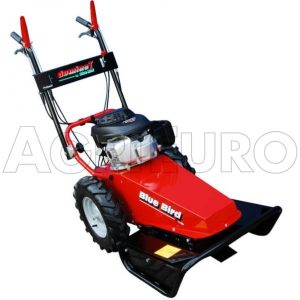 Domino motore Honda GCV 190