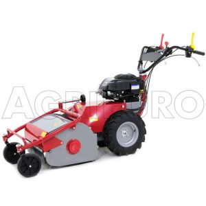 Meccanica Benassi TR 600