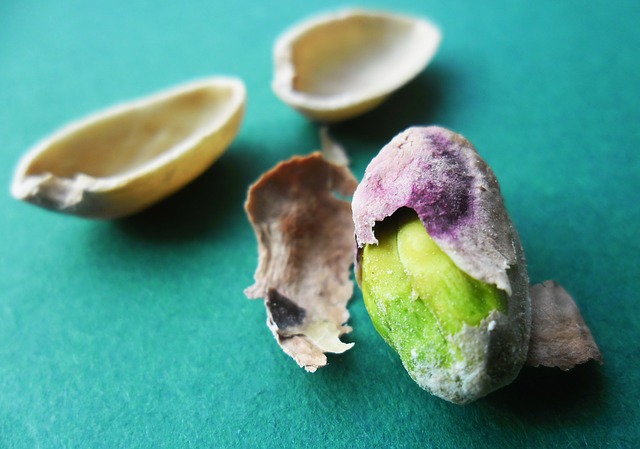 pistacchio