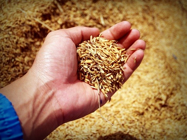 imprenditore agricolo