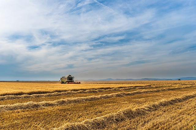 requisiti piccolo imprenditore agricolo