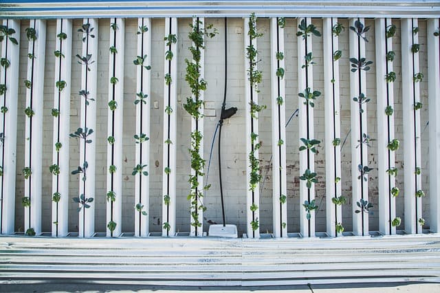 vertical farm - imprenditore agricolo senza terreno