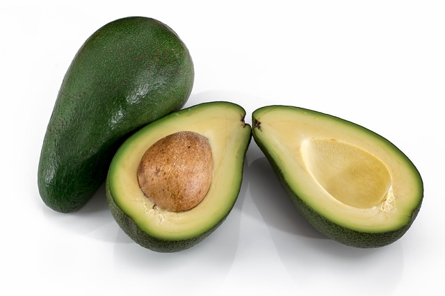 Avocado bonsai come fare