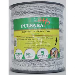 fettuccia verde pulsara