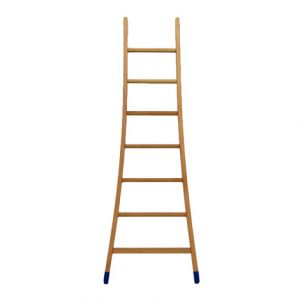 Scala svasata Expert