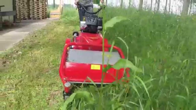 Trinciasarmenti professionali