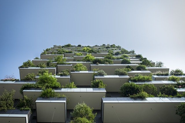 Piante da balcone ventoso