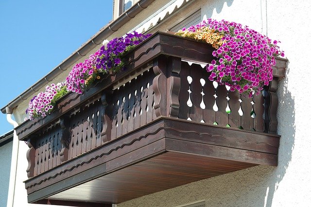 fiori da balcone estivi